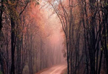 球友会：正确认识民营经济发展面临的困难和挑战.