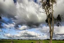 球友会：中国足协上线球员自荐系统：拓宽足球人才选拔渠道2025-03-02.